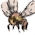 Sweet Bee Number 10