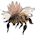 Sweet Bee no.11