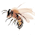 Sweet Bee Number 18