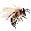 Sweet Bee Number 2