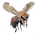 Sweet Bee no.5