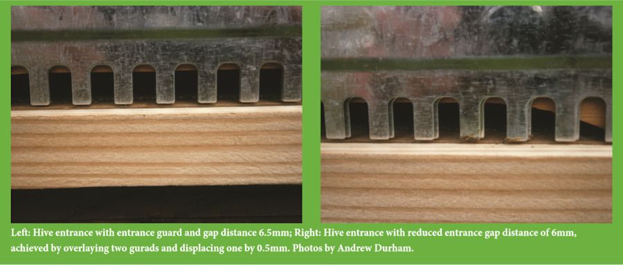 Guards at the entrance