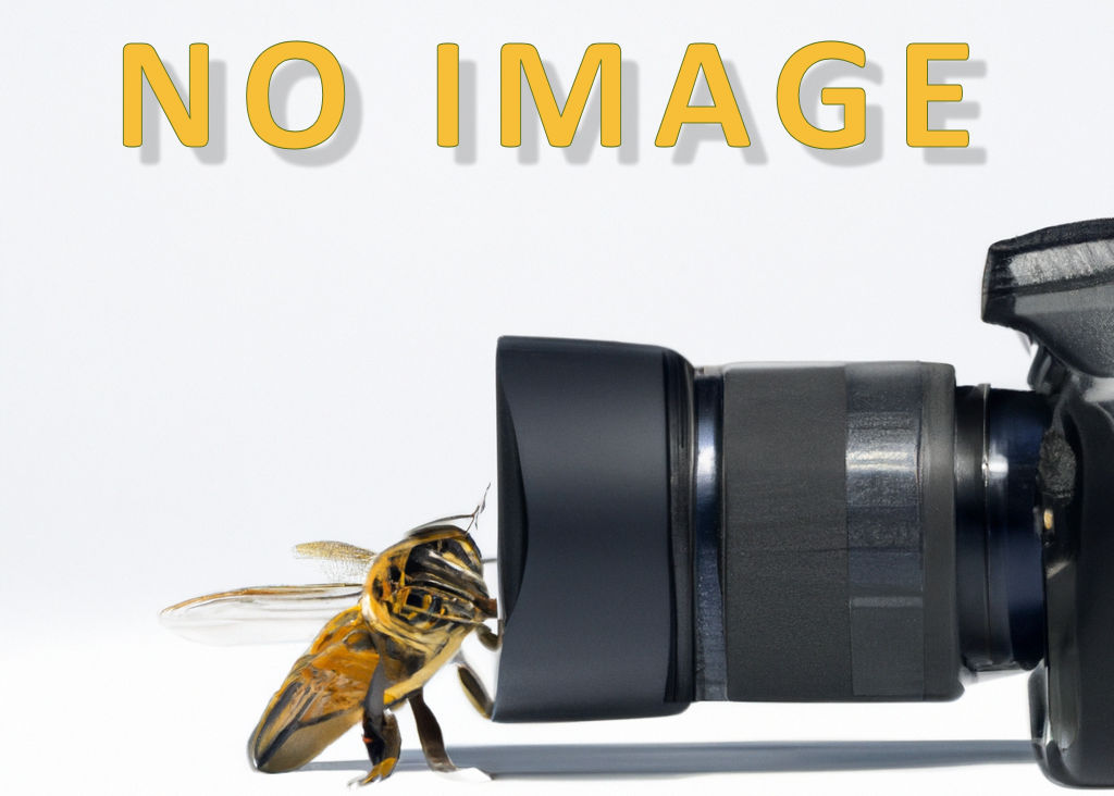 Ten WBC Cone Escapes